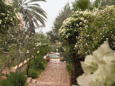 泰拉皇宫别墅度假村主图