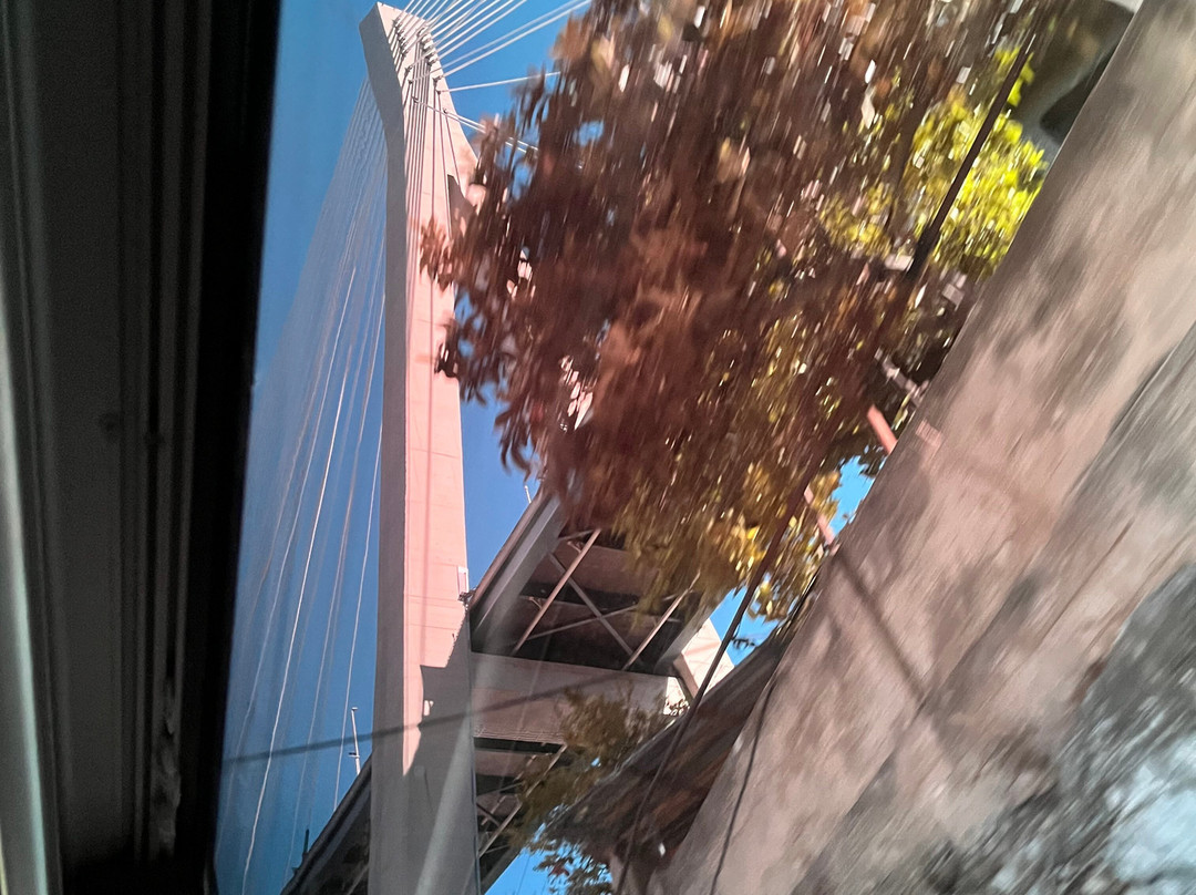 Most Dr. Franja Tuđmana-杜布罗夫尼克必去景点