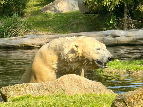 Zoo de La Fleche-La Fleche必去景点