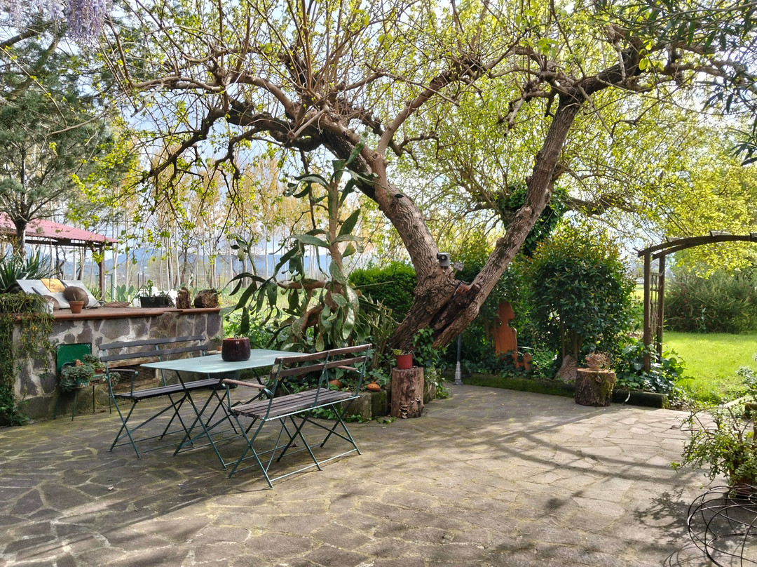 Ospitalita Rurale il Bambù主图