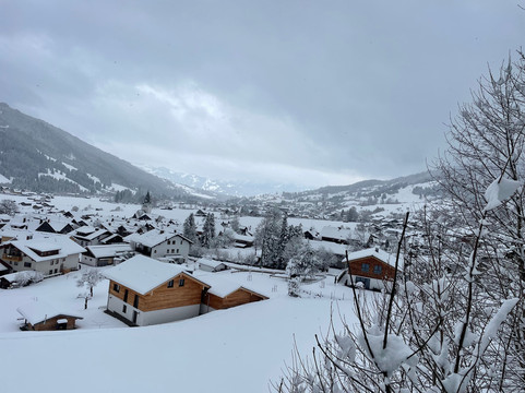 普林茨露博德酒店主图