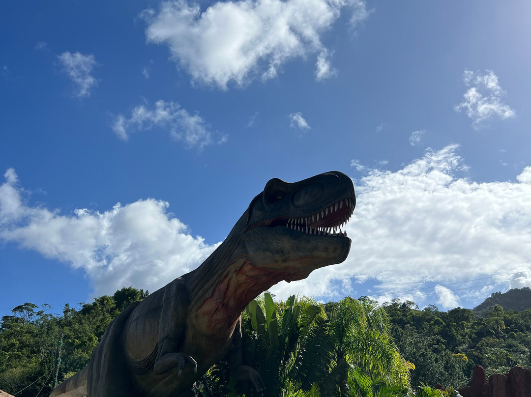 Aventura Jurássica-康泊琉海水浴场必去景点