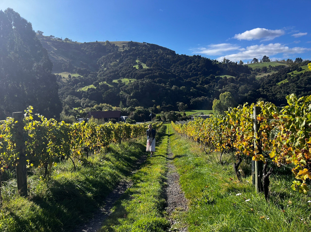 French Peak Vineyard-阿卡罗阿必去景点