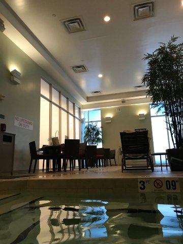 西棕榈滩市区凯悦嘉轩酒店-泳池