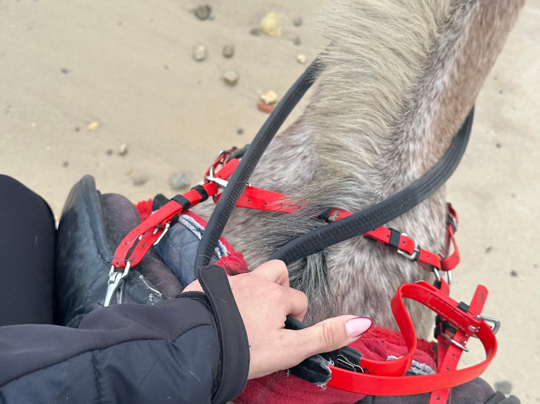 Club Equus Hammamet-哈玛麦德必去景点