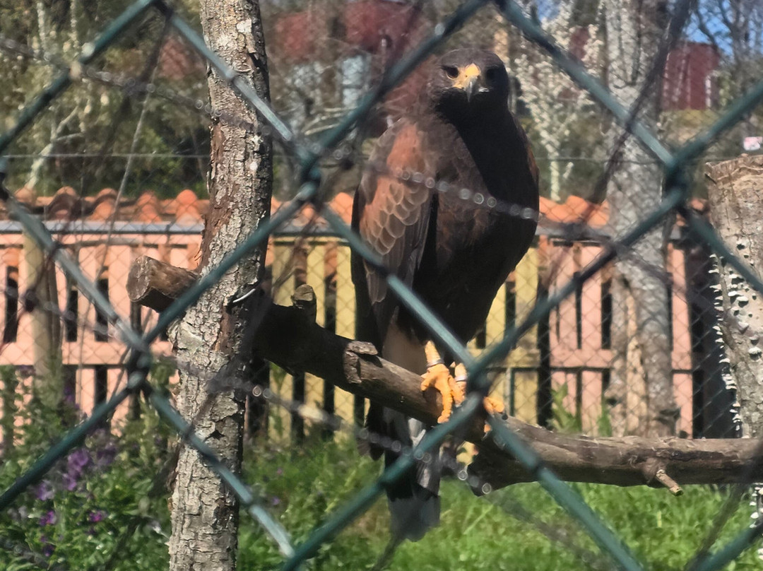 Quinta Pedagógica Quinta das Manas-吉马良斯必去景点