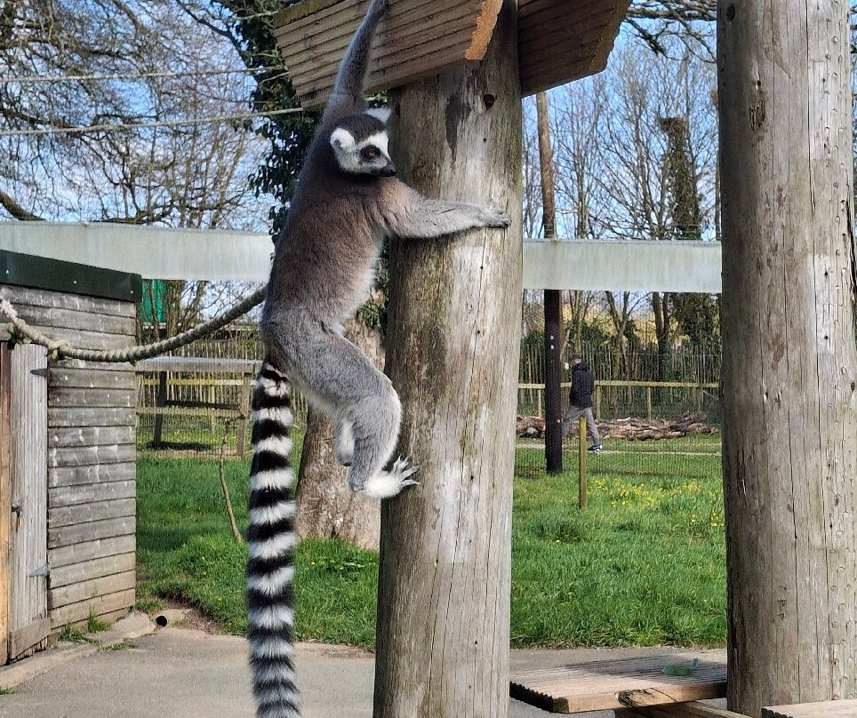 Manor Wildlife Park-St. Florence必去景点