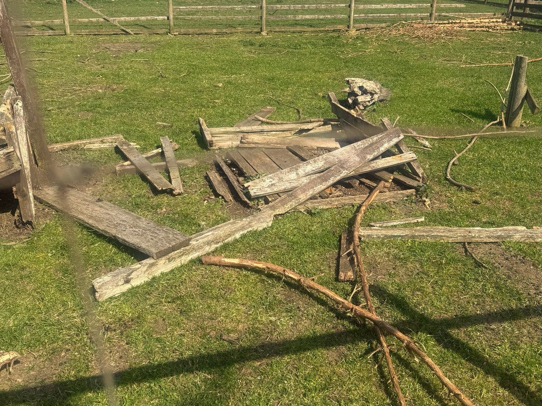 Little Jack's Farm and Garden Centre-Bottesford必去景点