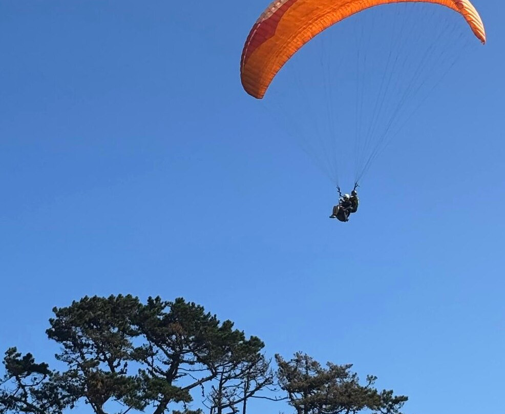 FlyTime Paragliding South Africa-Sedgefield必去景点