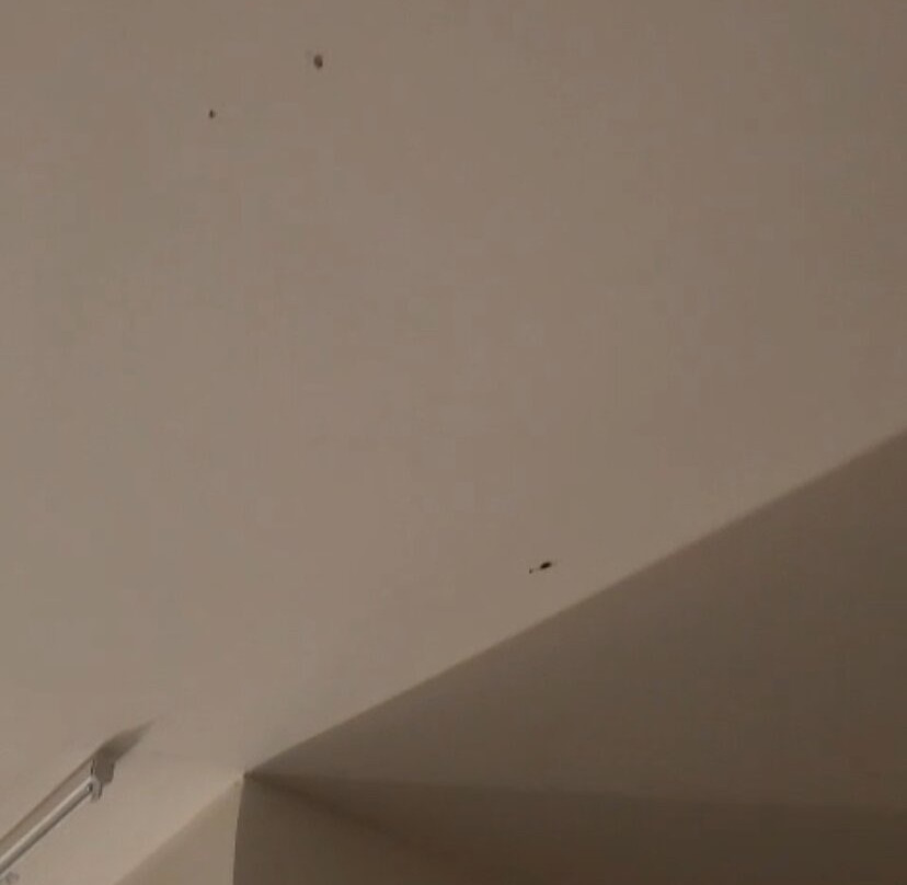 B＆B酒店巴黎梅杜翁维利齐主图