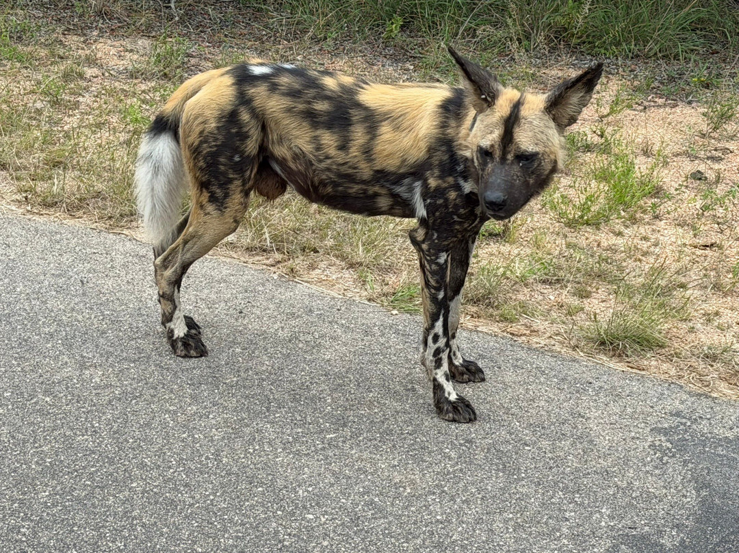 Touched By Nature-雾观必去景点