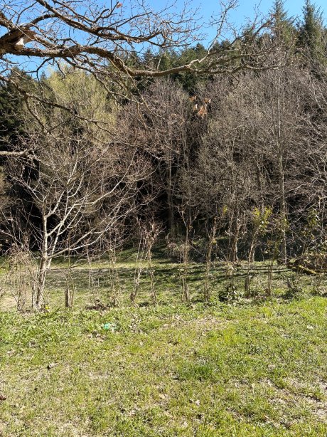 Monastero Sant Alberico Relais修道院-旅行者