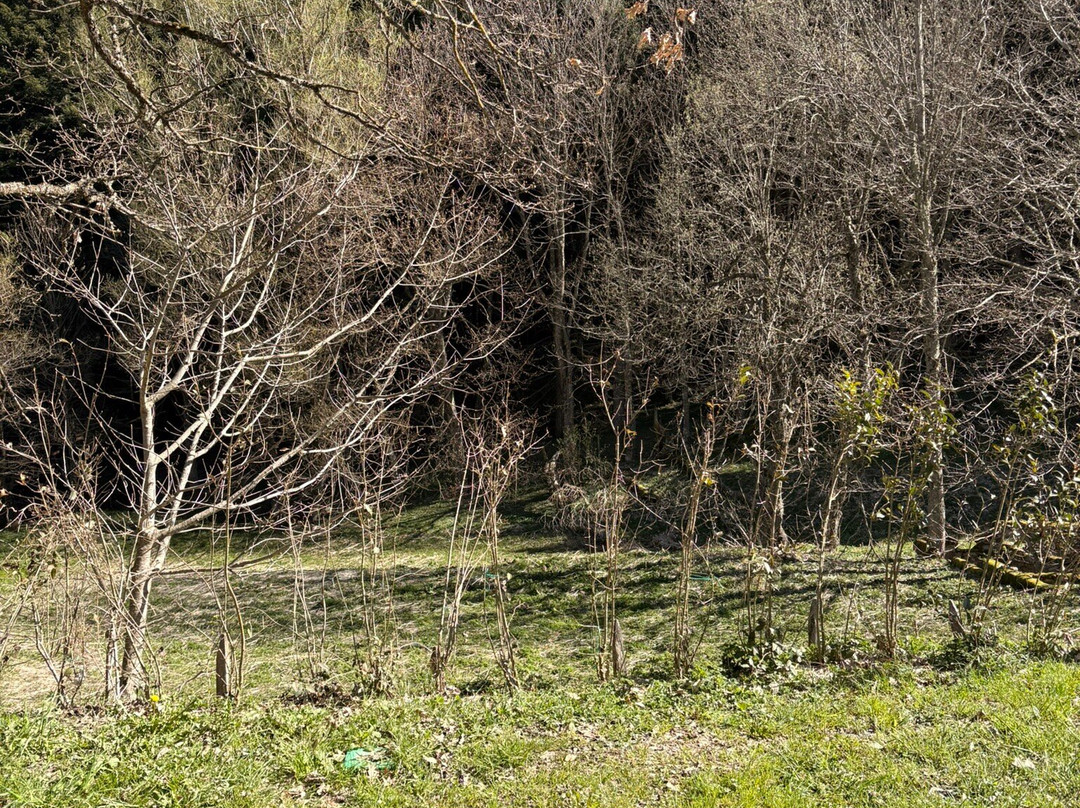 Monastero Sant Alberico Relais修道院主图