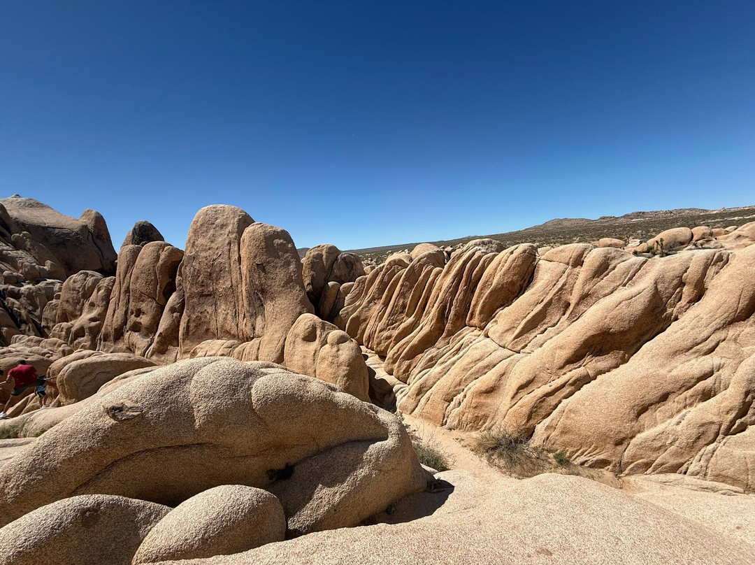 Arch Rock Nature Trail-约书亚树国家公园必去景点