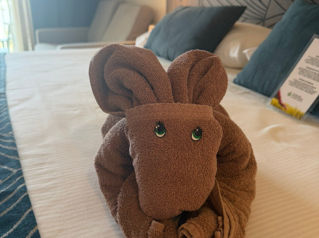 巴亚尔塔悦宜湾酒店-全包主图