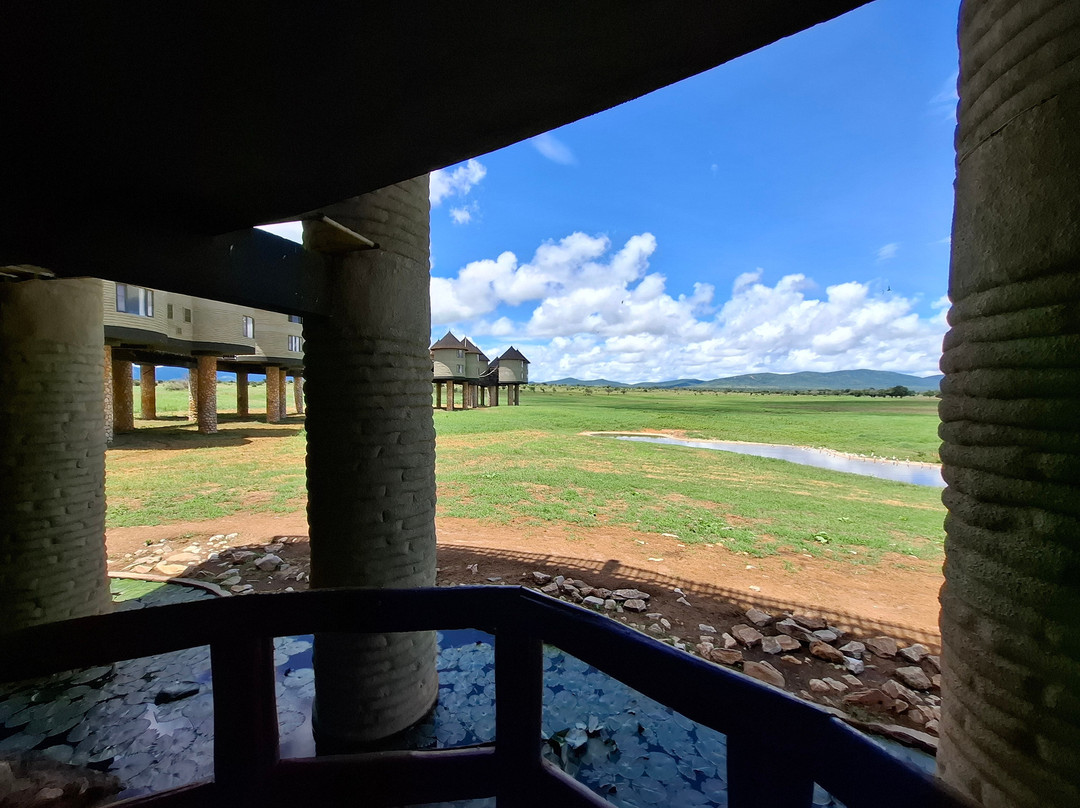 萨尔特利克野生动物园小屋主图