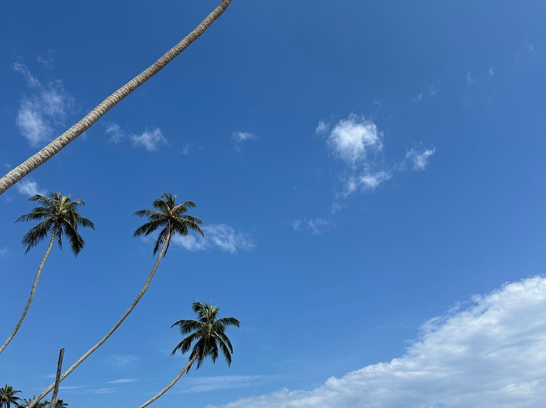 辛纳蒙希卡杜瓦酒店主图