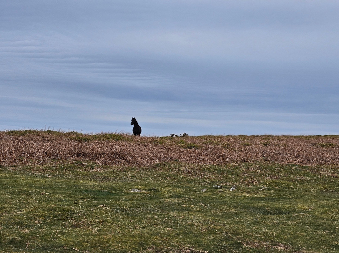 布雷肯比肯斯磨坊旅馆民宿主图