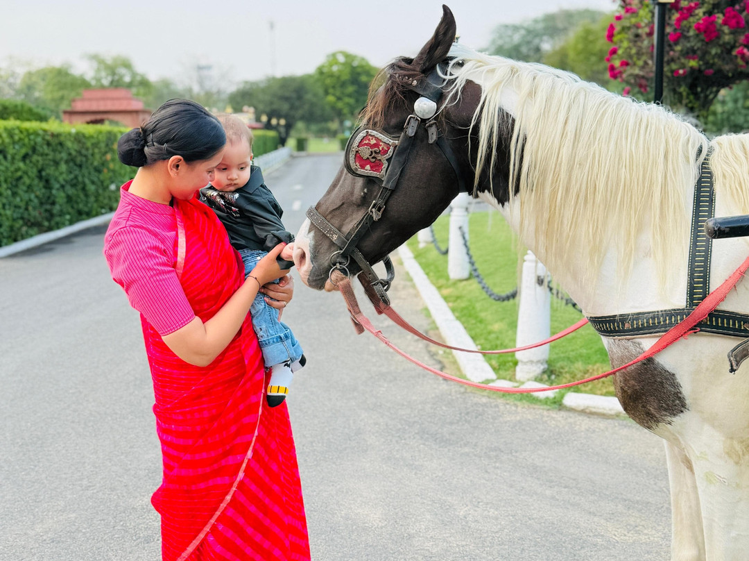 贾玛哈尔皇宫酒店主图