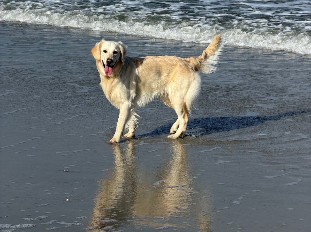 一片海洋大西洋海滩温泉度假村主图