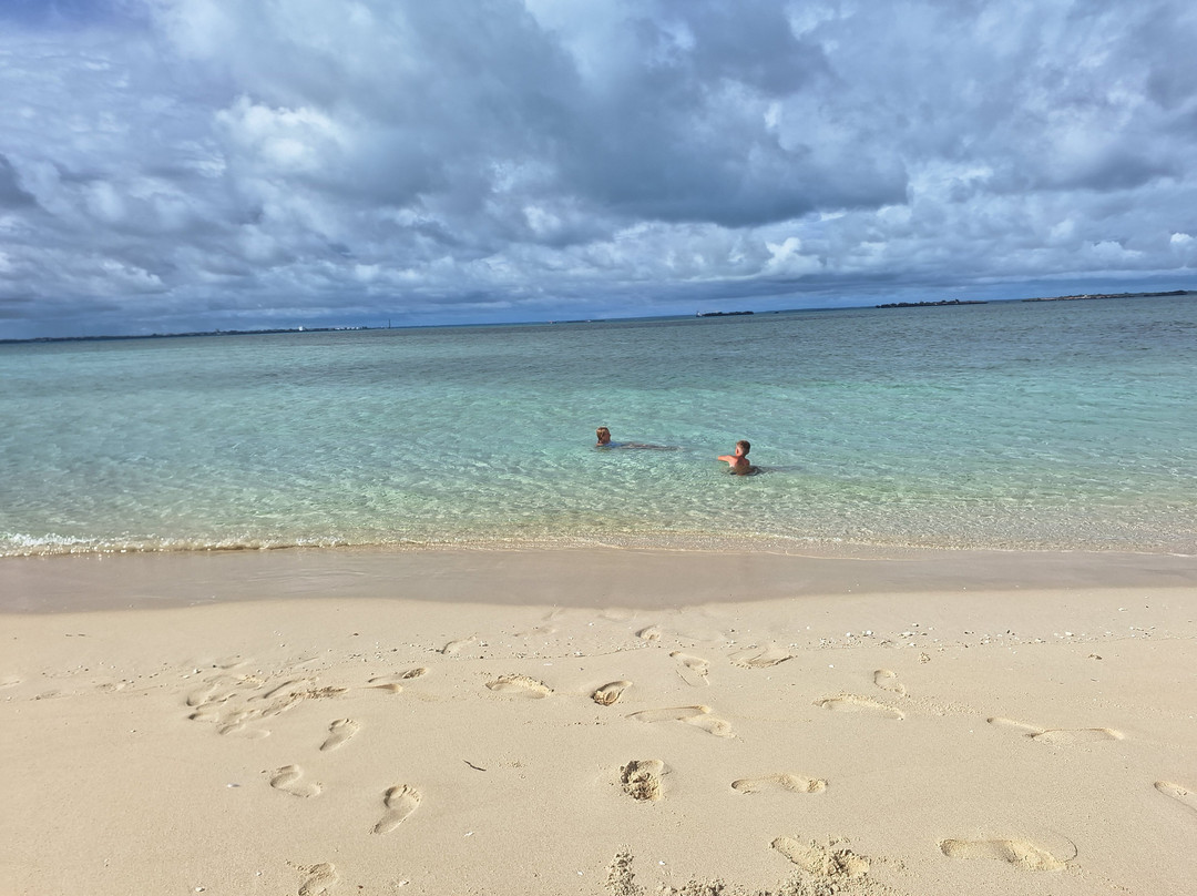 Cool of Africa Tours-桑给巴尔市必去景点