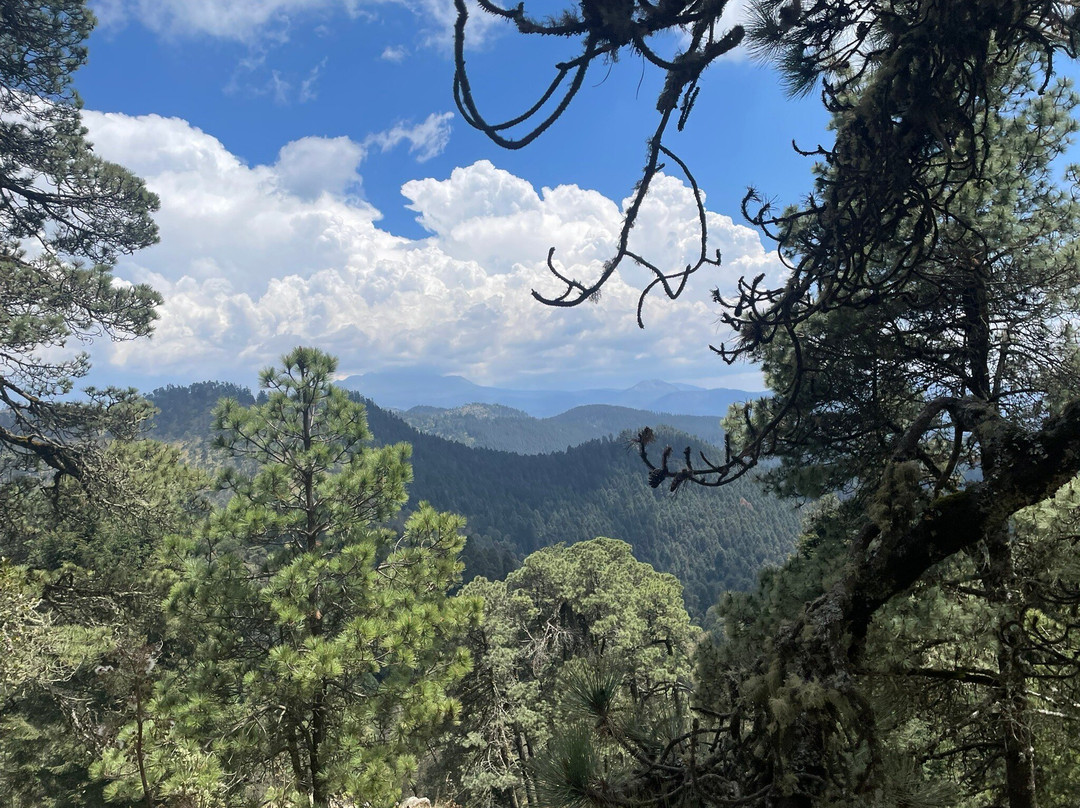 Mexico Travesias-墨西哥城必去景点