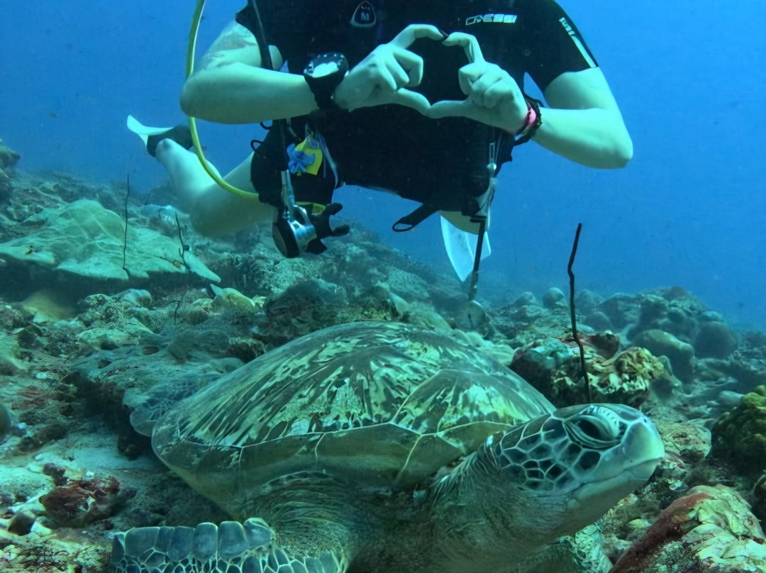 Sinai Dive Club Maldives-马富士岛必去景点