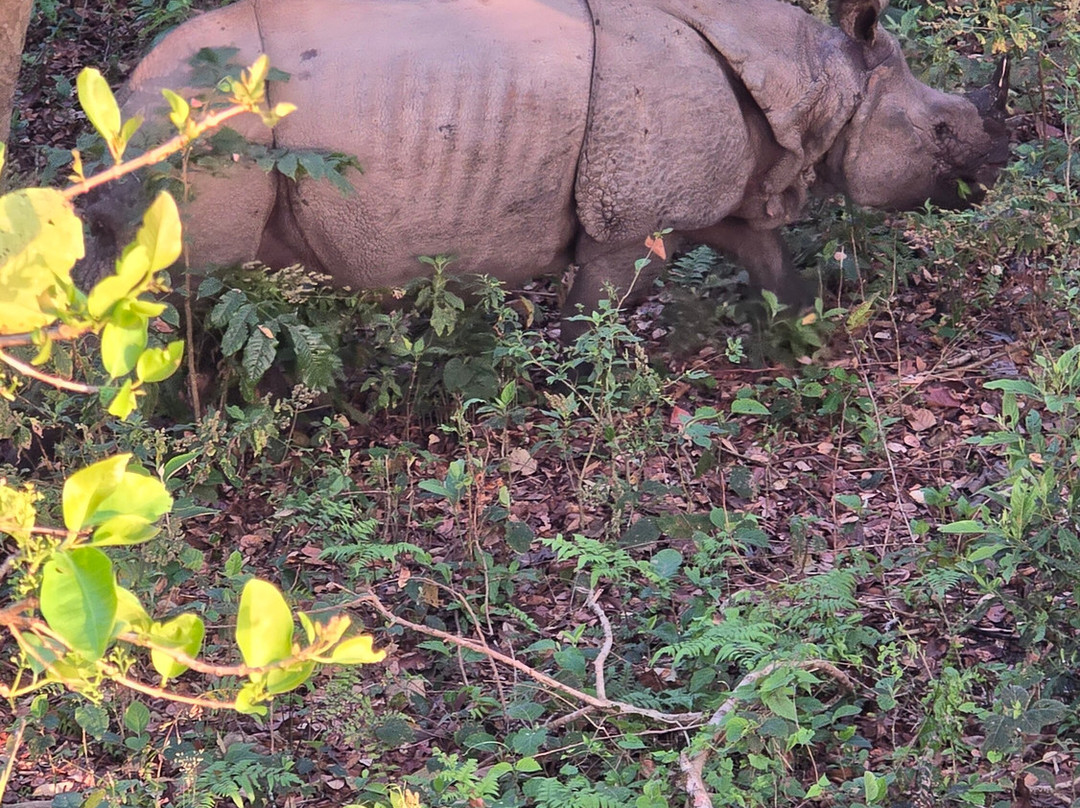 Nature Encounter Tours-苏拉哈必去景点