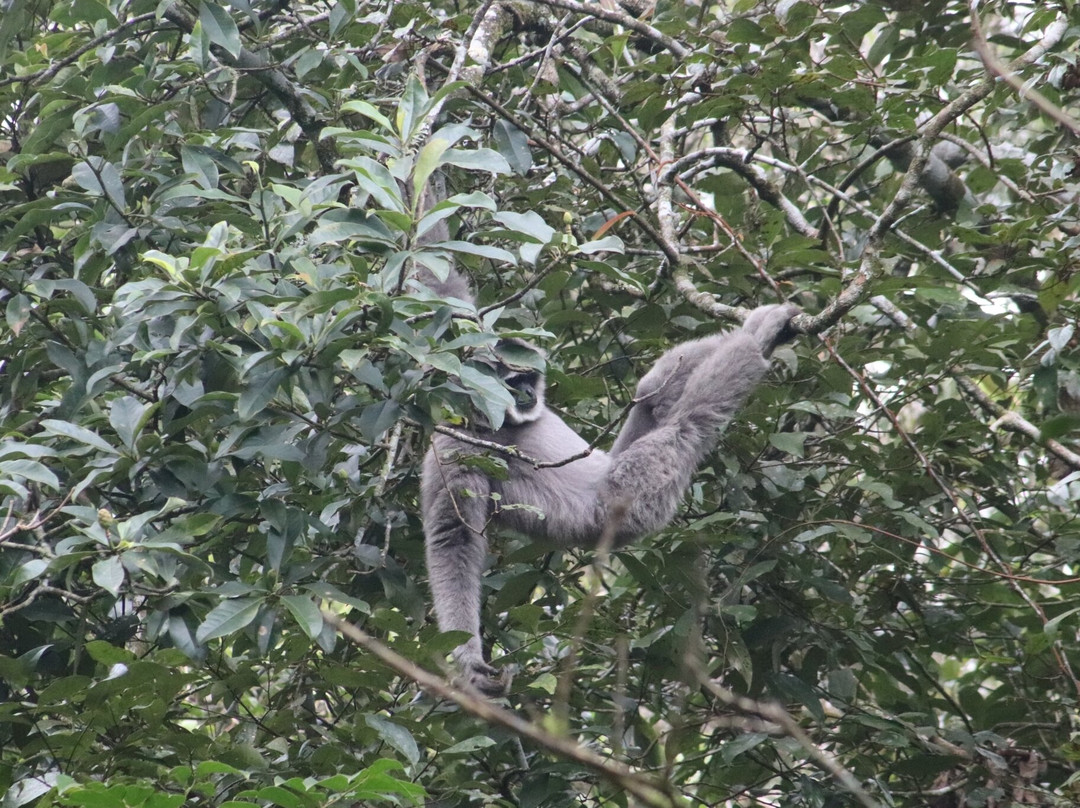 Ujung Kulon Trek-Carita必去景点