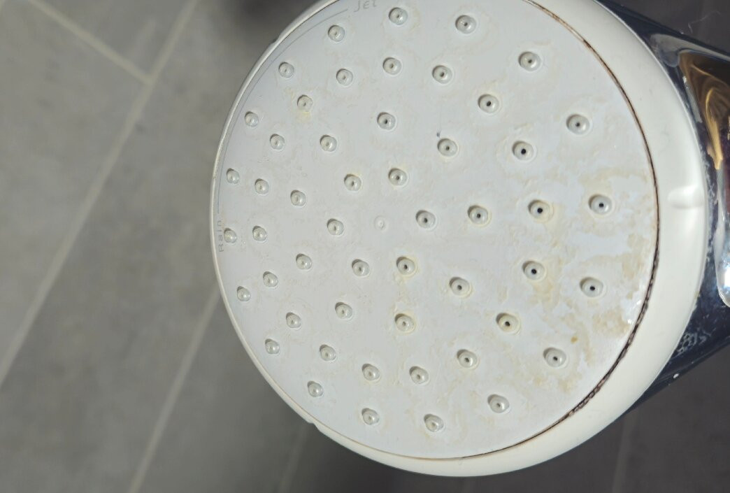 罗斯托克港B&B酒店主图