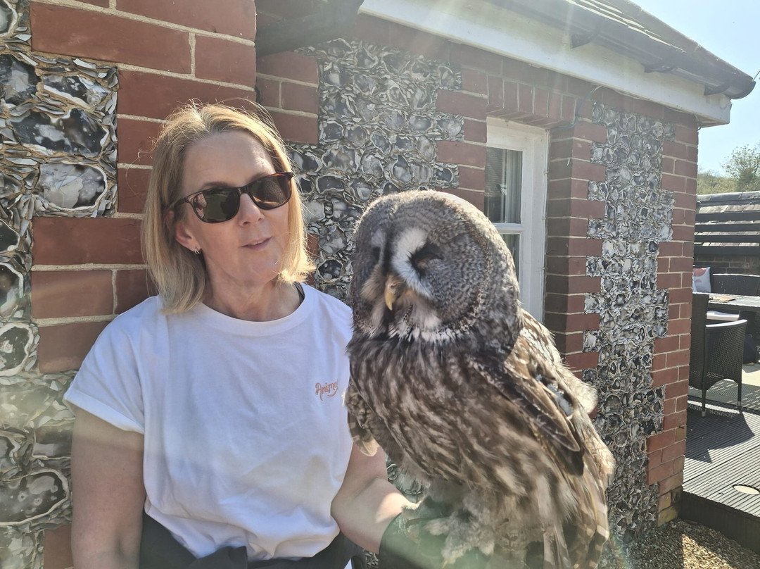 West Sussex Falconry-Compton必去景点