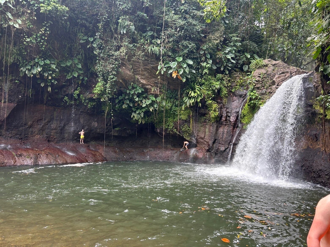 Saut de la Lézarde-Petit-Bourg必去景点