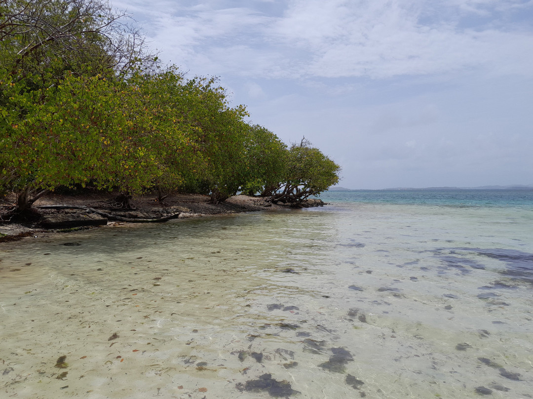 Catamaran Bwa Drese-Le Robert必去景点