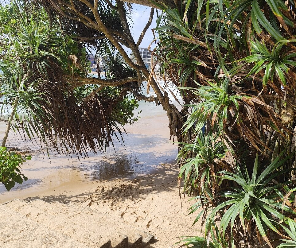 辛纳蒙希卡杜瓦酒店主图