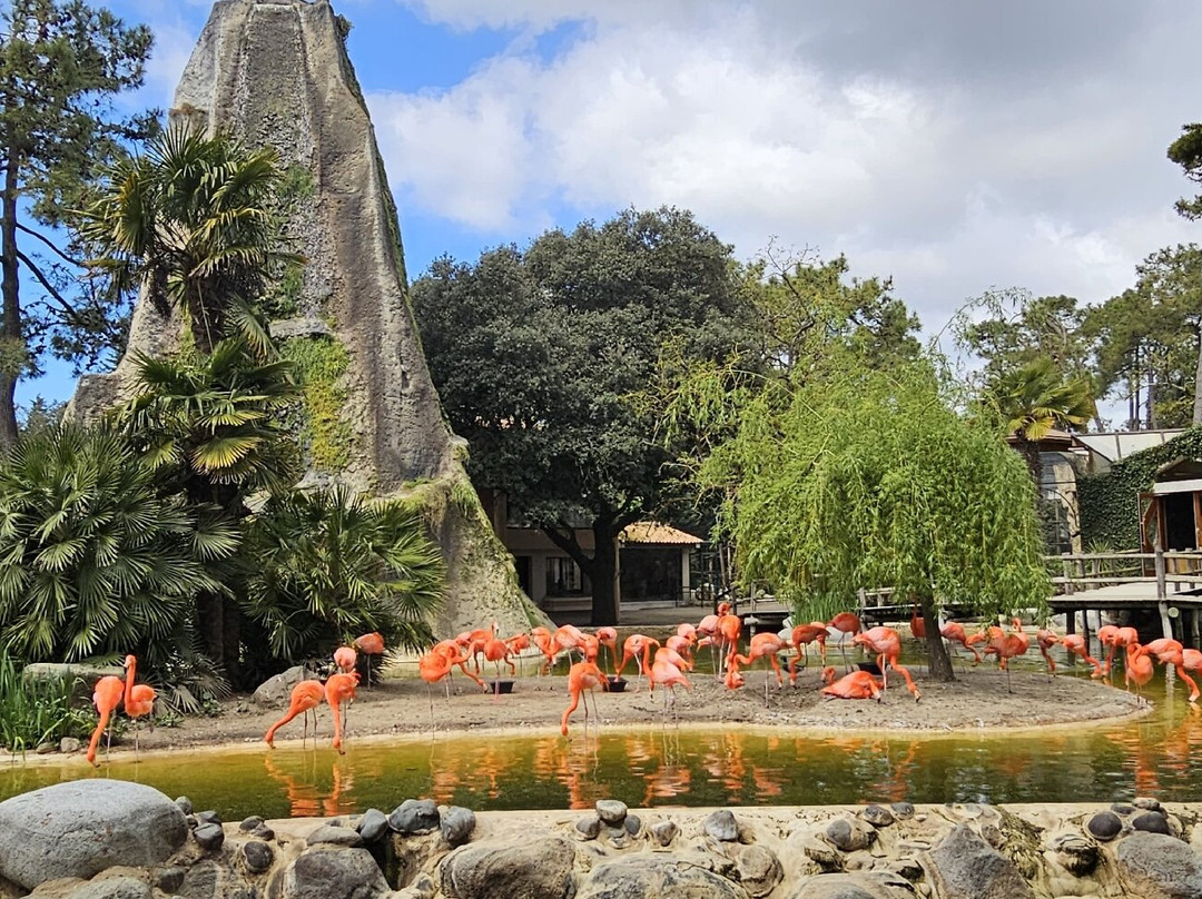 Zoo de La Palmyre-La Palmyre-Les Mathes必去景点