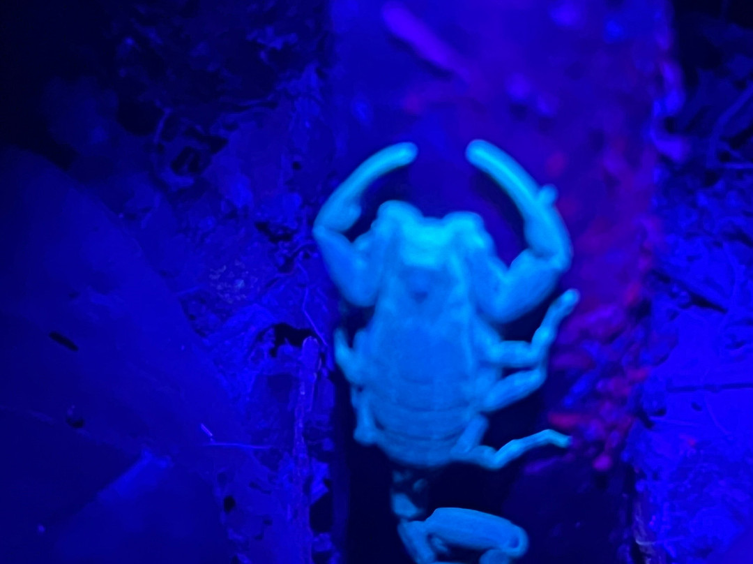 Finca Sachavacayoc lodge主图