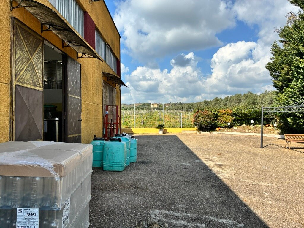 Cantine Domenico Russo-Ginosa必去景点