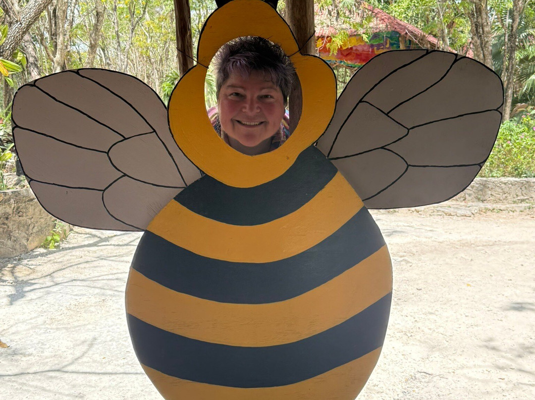 Bee Friendly Conservation Park-考祖梅必去景点