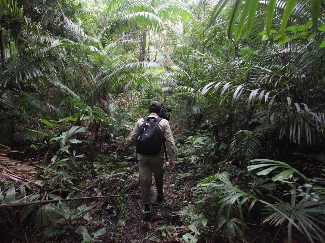 Ujung Kulon Trek-Carita必去景点