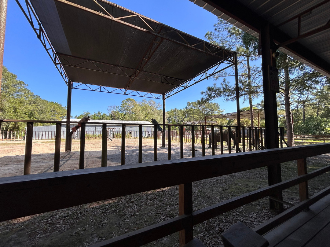 Two Tails Ranch: All About Elephants-Williston必去景点