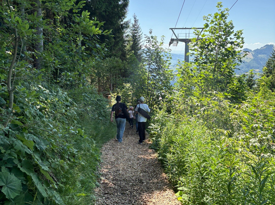 Sentier des Toboggans-Charmey必去景点