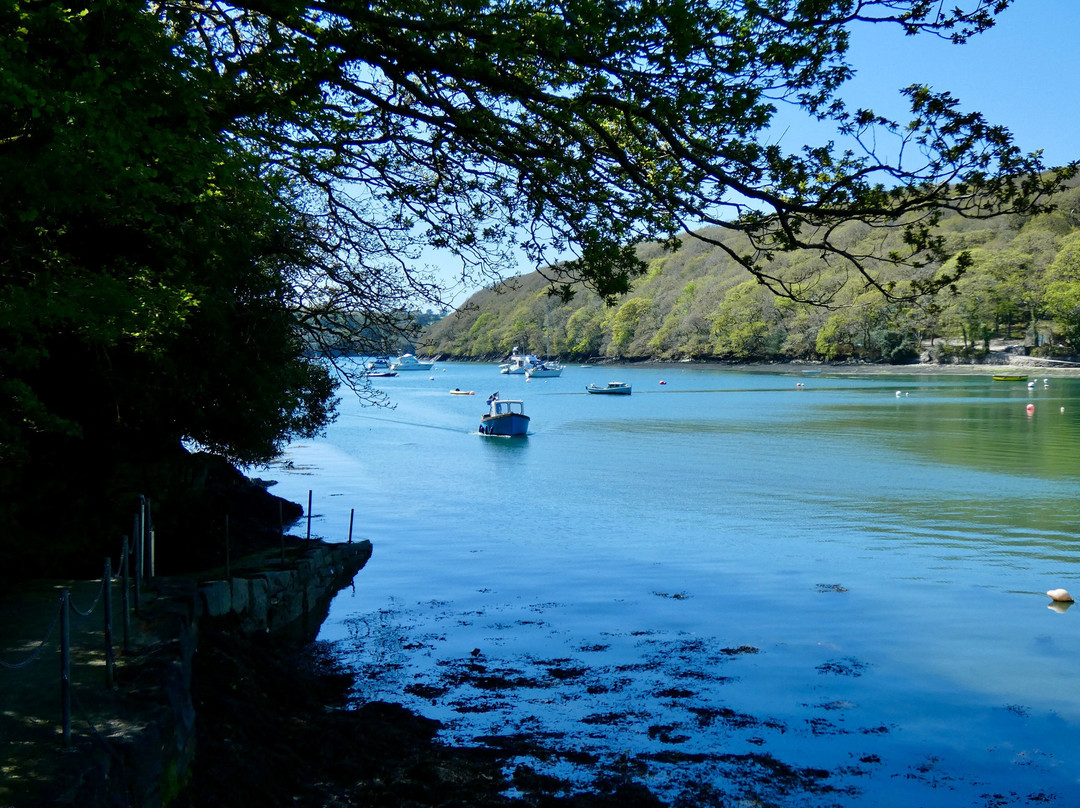 Helford River Cruises-Mawnan Smith必去景点