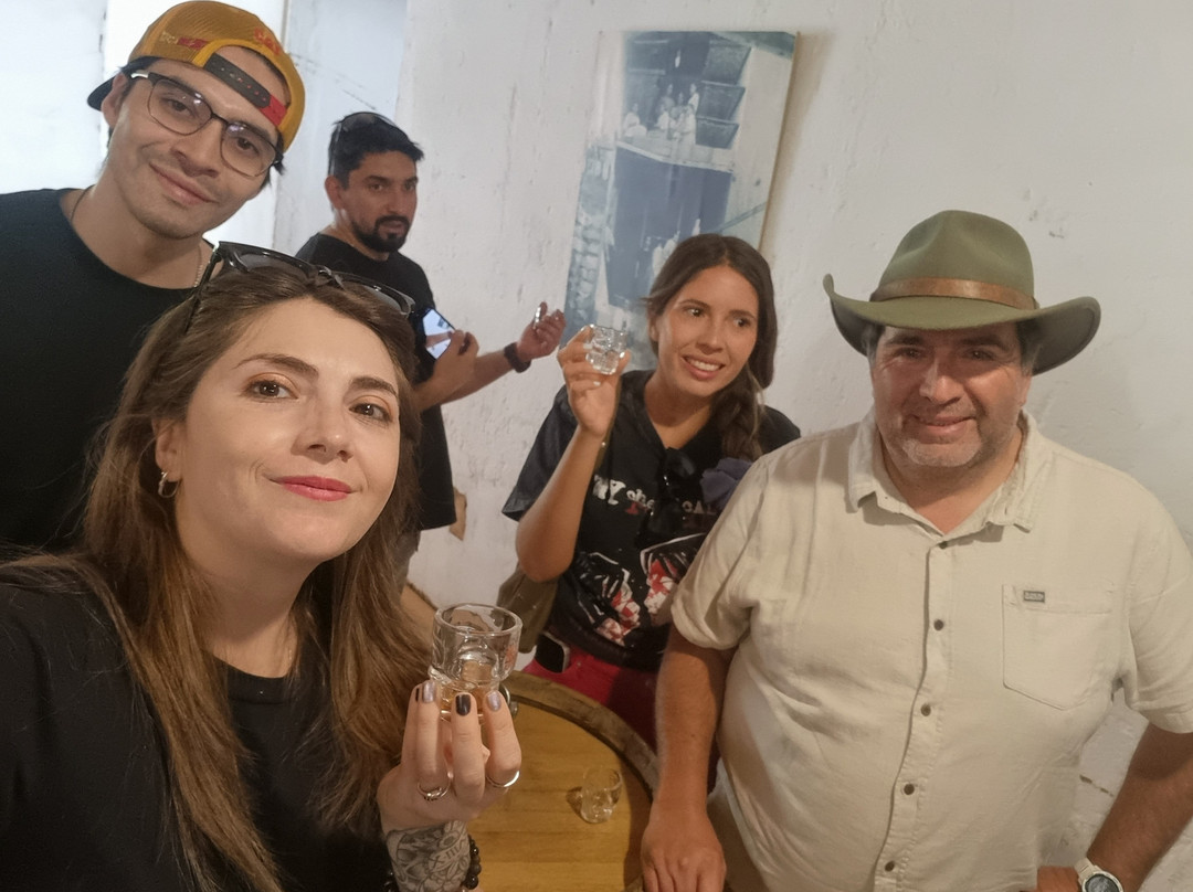 Fundo Los Nichos-Pisco Elqui必去景点
