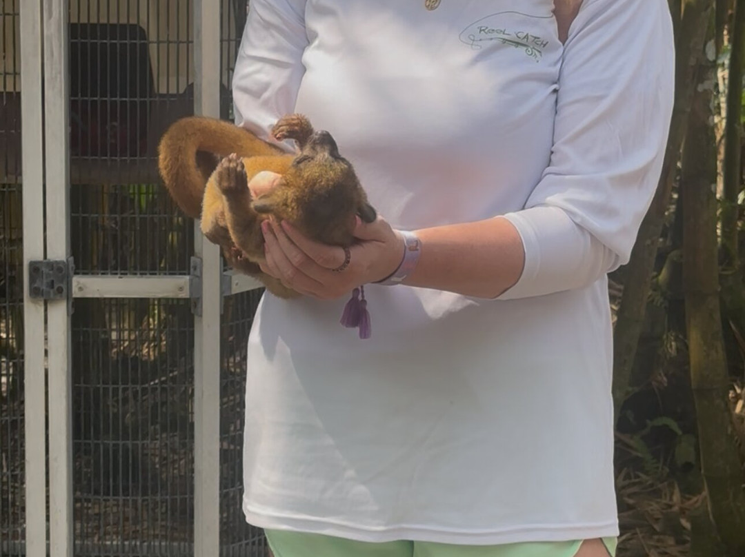 McCarthy's Wildlife Sanctuary-西棕榈滩必去景点