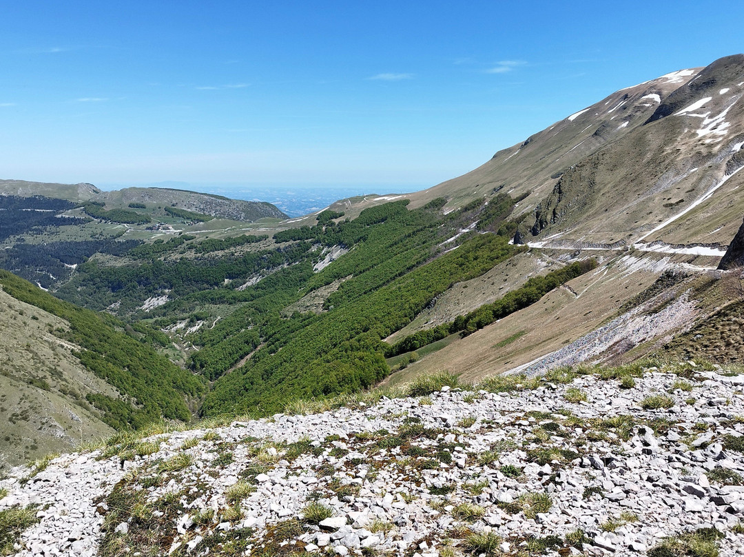 Bolognola Ski-Bolognola必去景点
