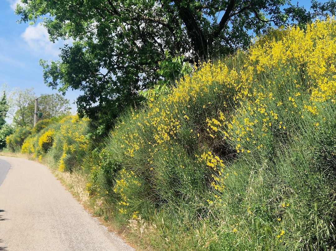 Terre di Mezzo Viaggi a Passo d'Uomo-Montella必去景点