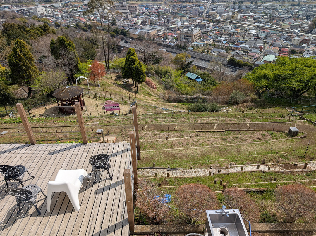 Matsuda Herb Garden-松田町必去景点