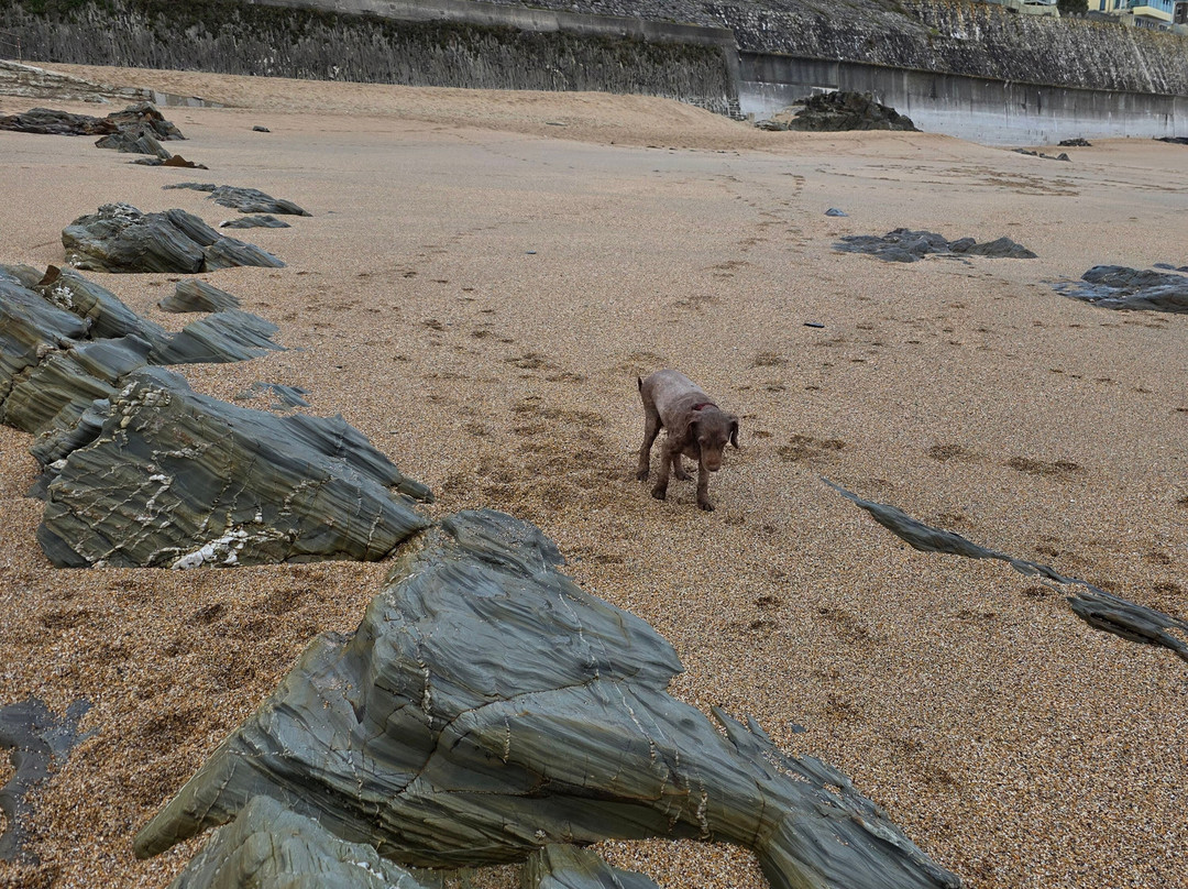 Porthleven Harbour-Porthleven必去景点
