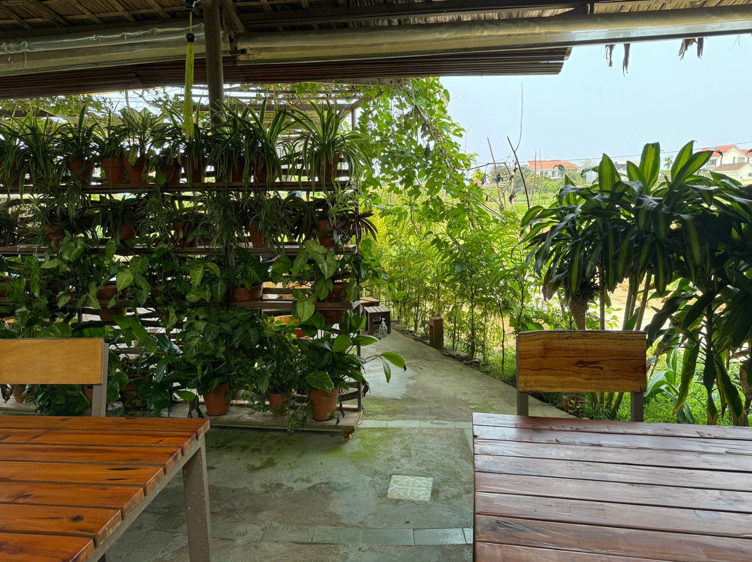 Tra Que Vegetable Village-会安必去景点