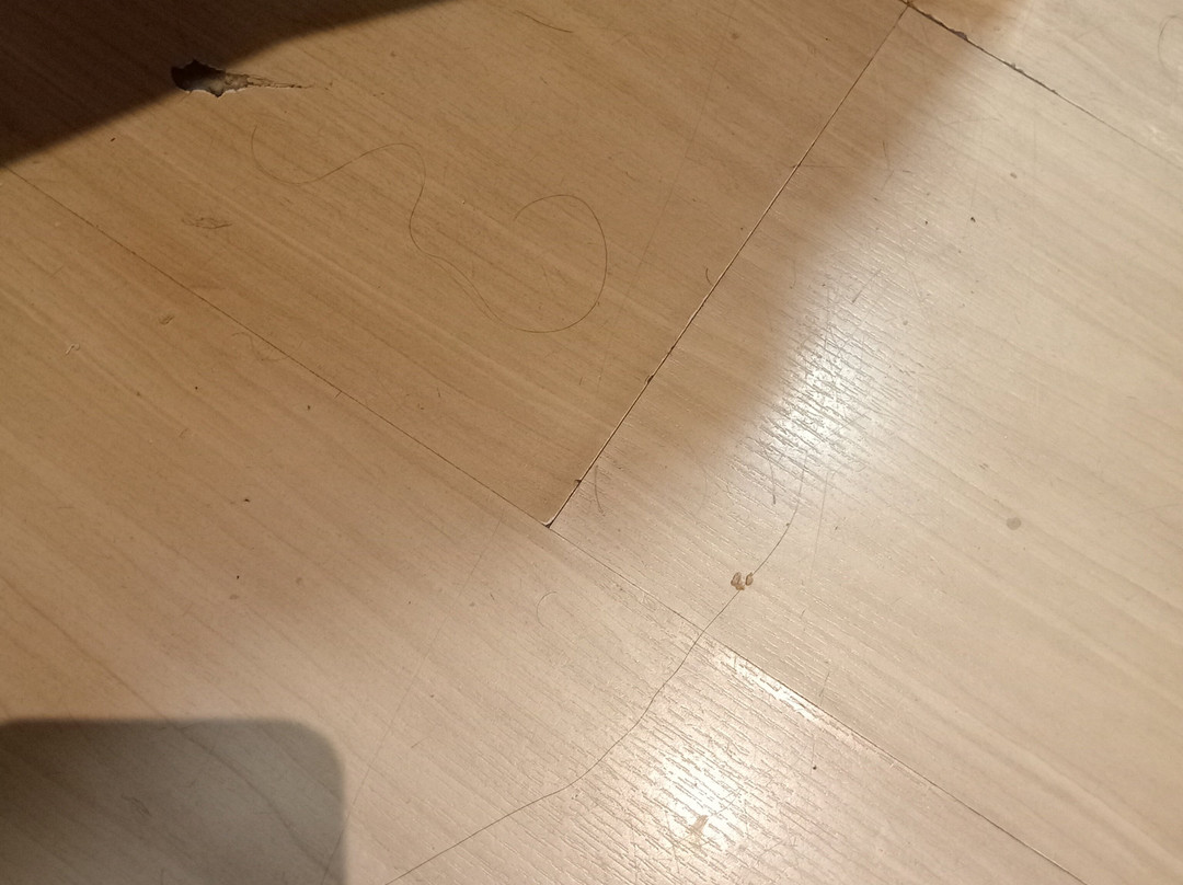 帕兰霍斯公寓主图